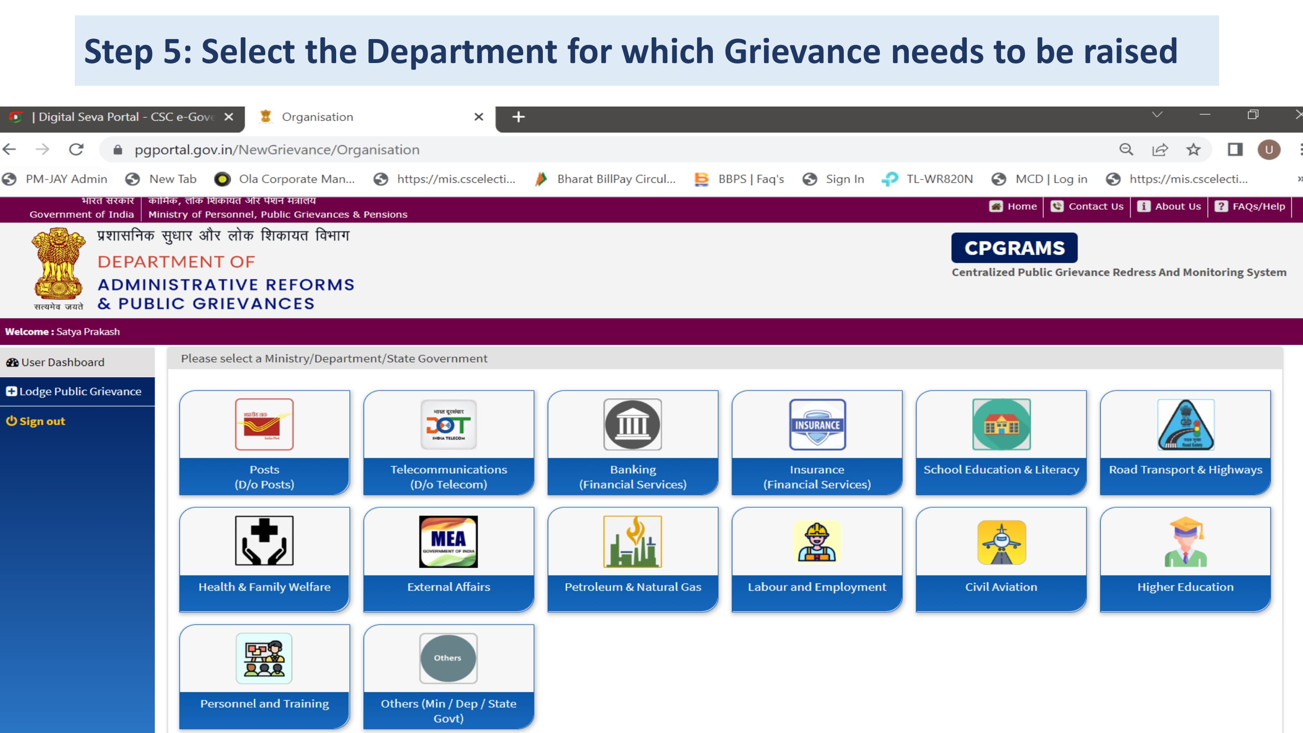 Process Flow of CPGRAMS service through CSC