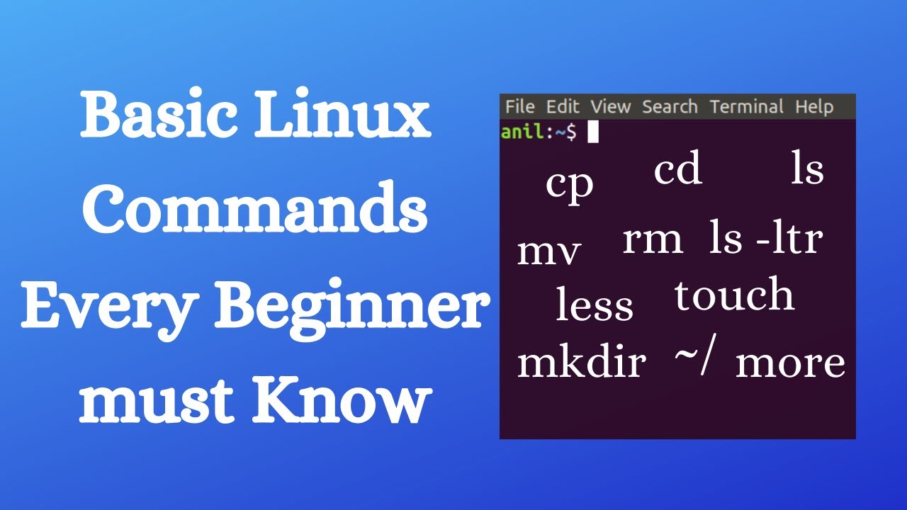 Basic Linux Commands for Beginners: A Starter Guide