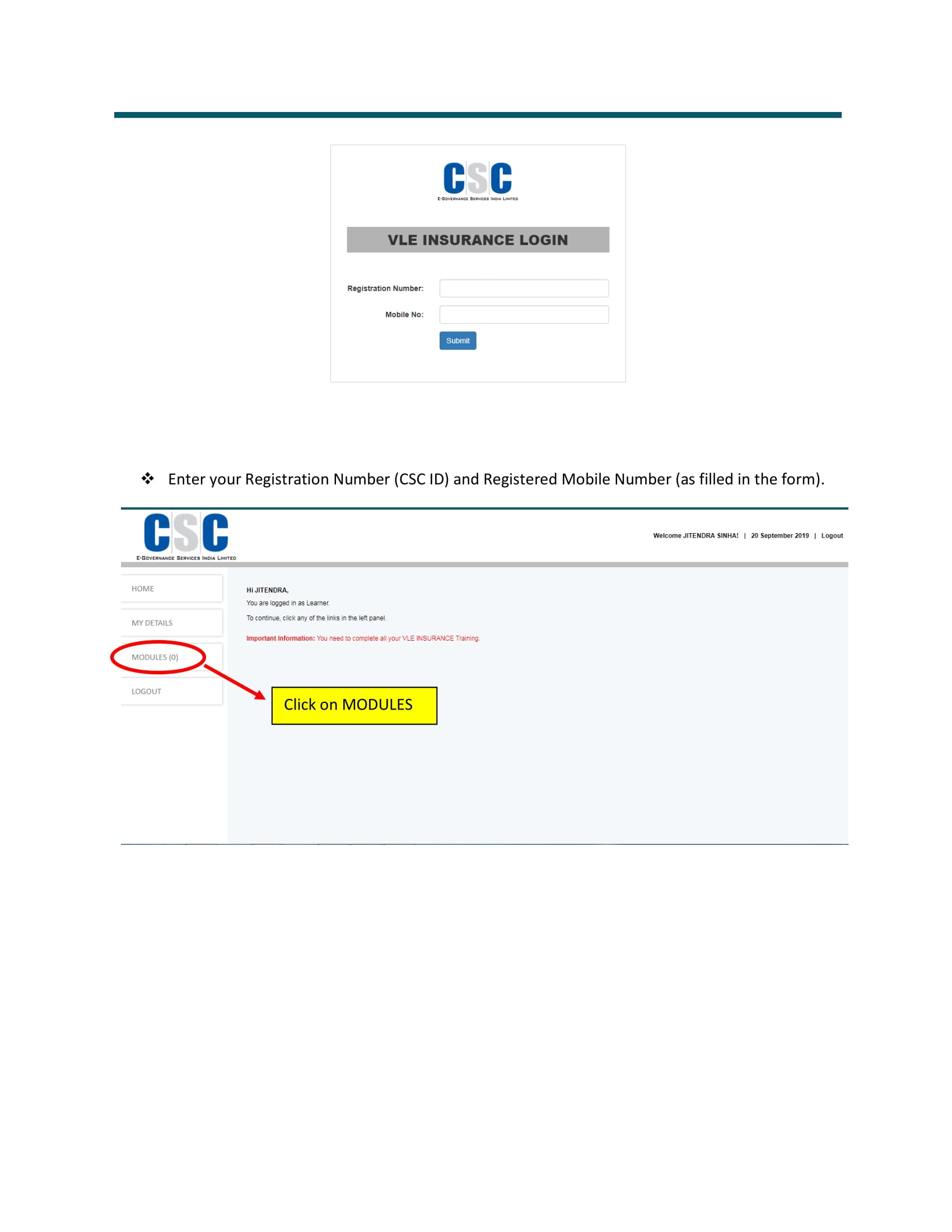 VLE Insurance Process Flow