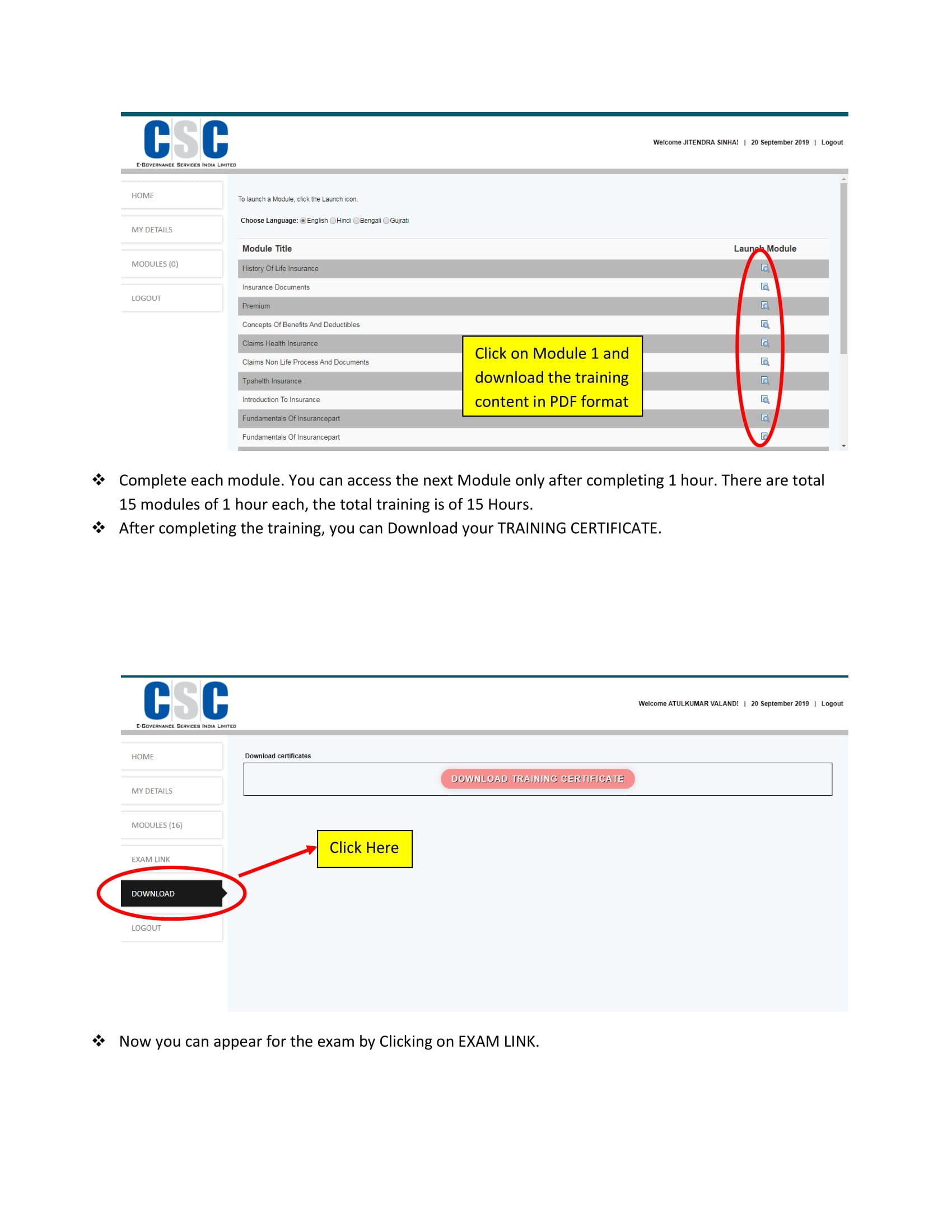 VLE Insurance Process Flow