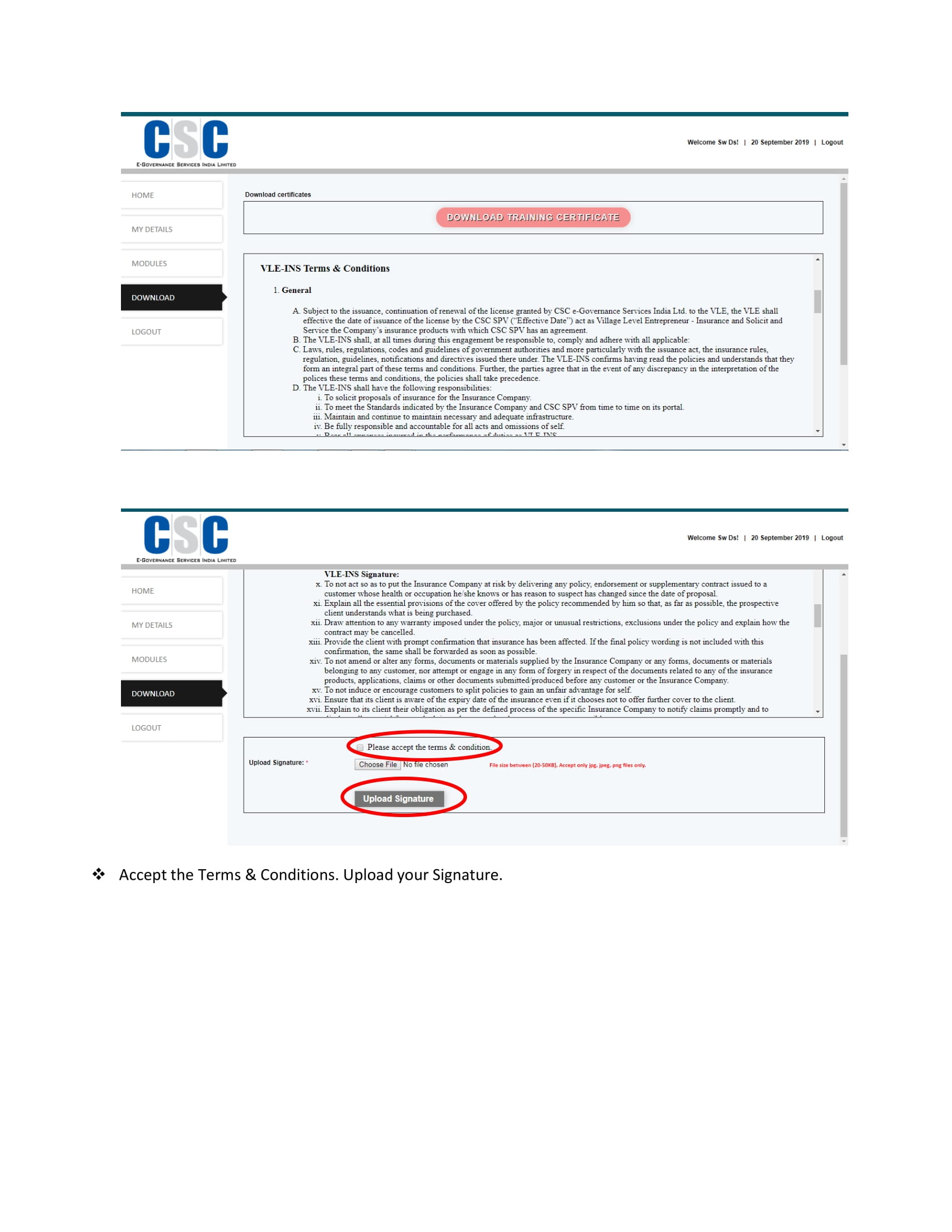 VLE Insurance Process Flow